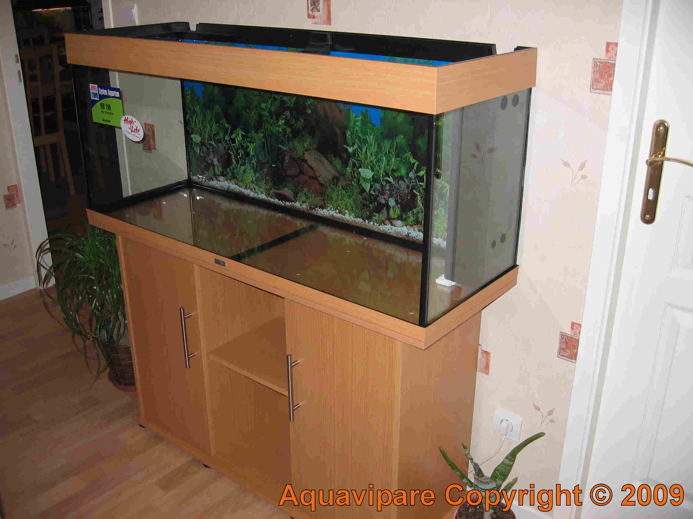 Mon nouvel Aquarium JUWEL Rio 240 Litres