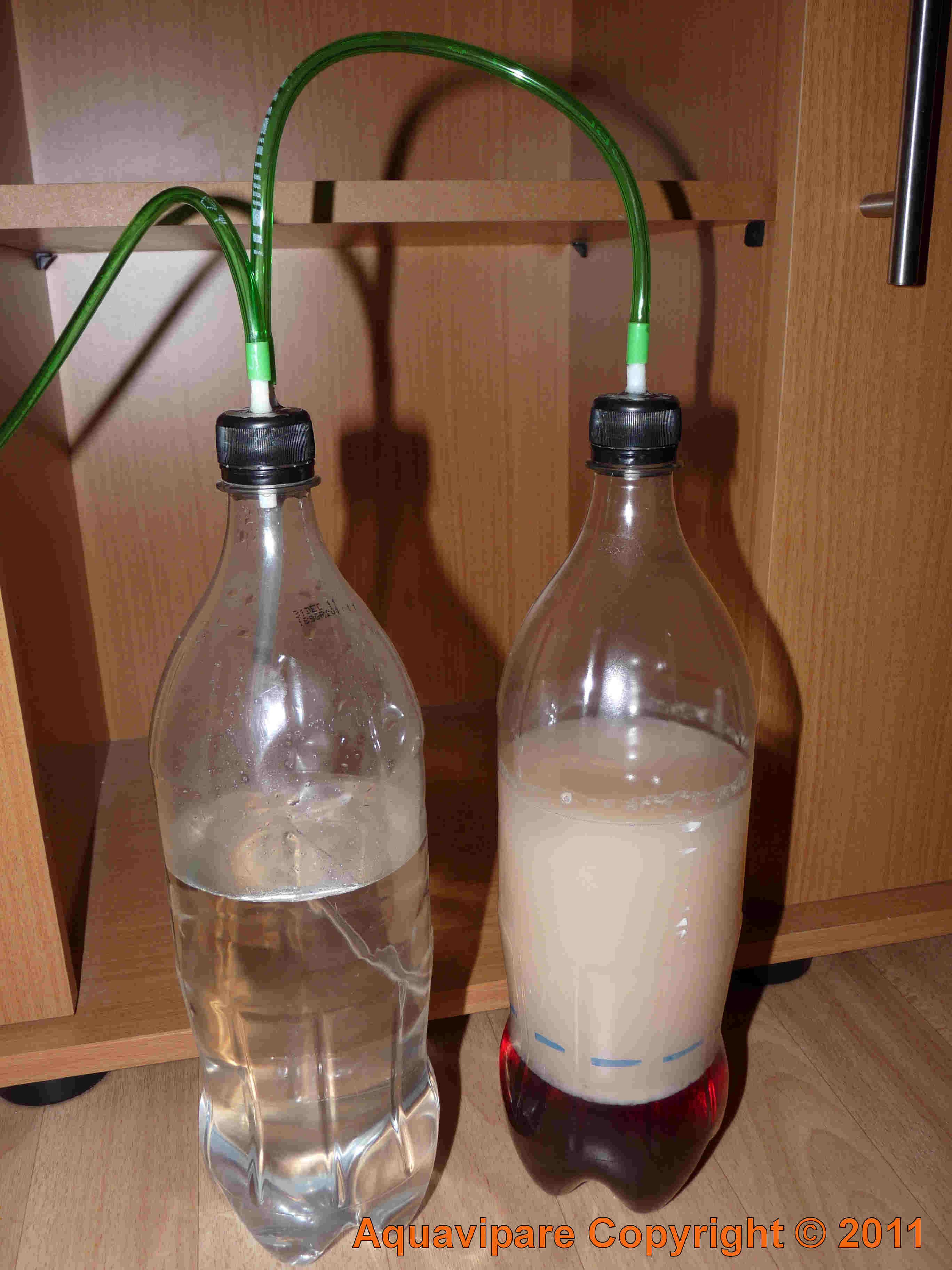 Dispositif de CO2 artisanal avec 2 bouteilles