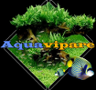 Aquavipare, l'aquariophilie : un monde ovipare et vivipare